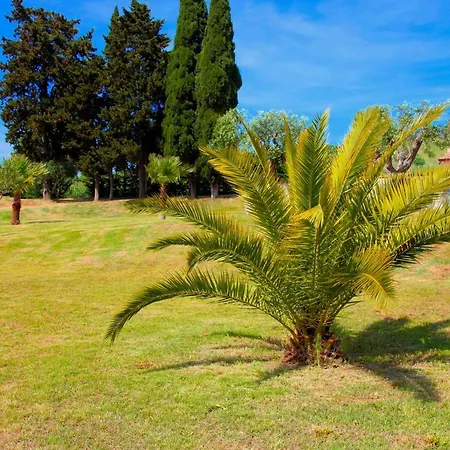 Casa Vacanze La Collina * Carbonifera